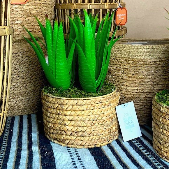 Bohemian Woven Basket w/ Artificial Agave Plant - Faux Aloe Vera wicker planter